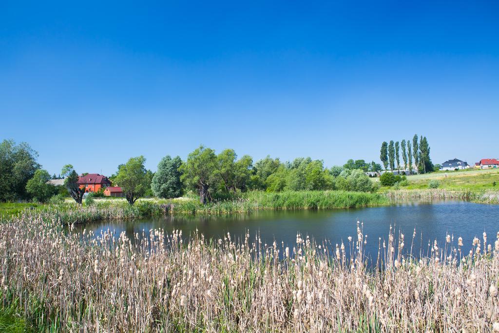 Zloty Staw Bed & Breakfast Borkowo  Ngoại thất bức ảnh